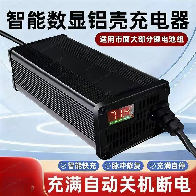 48V 60V 72V Smart LiFePO4 Li-i - đánh giá và giá 72V 15A Fast Charger